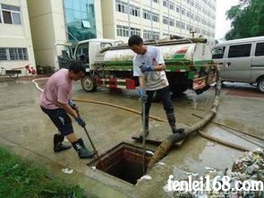 专业管道与环境卫生解决方案 温州市鸿强管道疏通服务全面解析